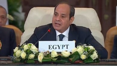 السيسي: استقرار المنطقة مرهون بالاعتراف بالدولة الفلسطينية