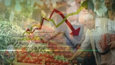 تكرار خطأ الأرجنتين الاقتصادي في تركيا