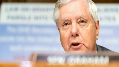 وطالب السيناتور الجمهوري بترحيل المهاجرين من أمريكا