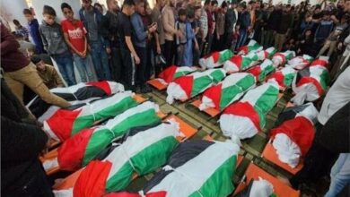 ارتفاع عدد الشهداء في غزة إلى 32782 شهيدا