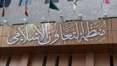 وزير الخارجية الجزائري: الإدانة لن توقف القتل الجماعي في غزة