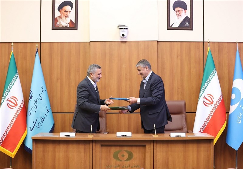 محمد اسلامی , تحریم هسته ای , سازمان انرژی اتمی ایران , سید صولت مرتضوی ,