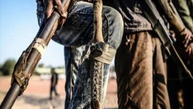 هجمات العصابات المسلحة وداعش في نيجيريا/ مقتل 25 شخصاً