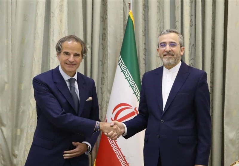 تأكيد الباقري على ضرورة حياد الوكالة الذرية