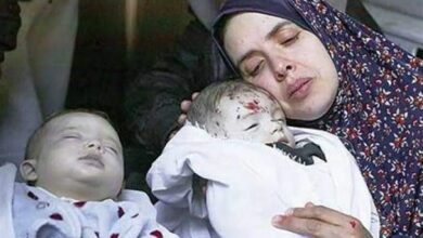 إحصائيات رهيبة للإبادة الجماعية الإسرائيلية بحق عائلات غزة