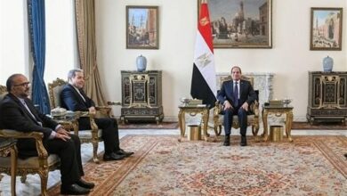 البقاعي: عراقجي أجرى محادثة مفيدة للغاية مع السيسي