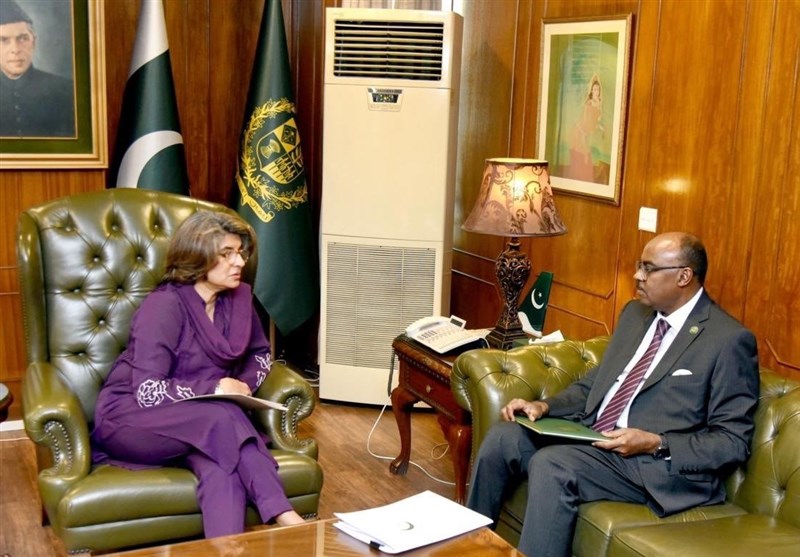 والتقى مسؤولون من منظمة التعاون الإسلامي وباكستان بشأن أفغانستان