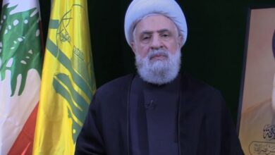 الشيخ نعيم قاسم: المقاومة ستستمر وتنمو