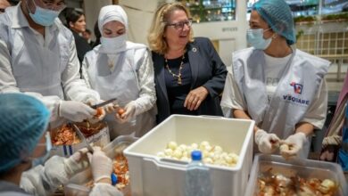 دعم ألمانيا الوقح لإرسال الأسلحة إلى النظام الصهيوني