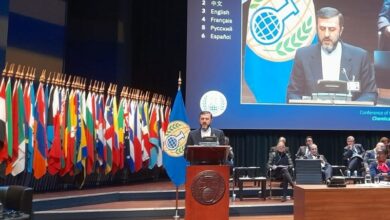 غريب آبادي: على مجلس الأمن فرض عقوبات على الصهاينة