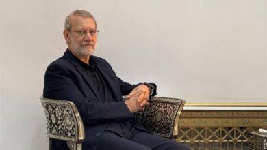 لاريجاني: نؤيد قرار الحكومة والمقاومة اللبنانية