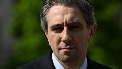 ومن المقرر إجراء انتخابات برلمانية مبكرة في أيرلندا