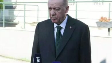 أردوغان: هدف المعارضة في سوريا هو مدينة دمشق
