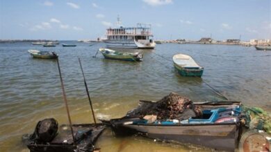 استشهاد 200 شخص وخسارة 20 مليون دولار لصيادي غزة من الحرب