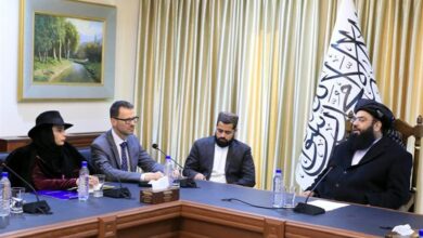 الاتحاد الأوروبي: حرب طالبان ضد المخدرات فعالة