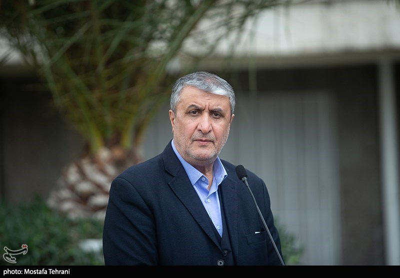 النظام المستكبر يريد استخدام الوكالة لأغراضه الخاصة