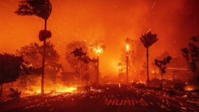 ارتفاع عدد قتلى حريق لوس أنجلوس إلى 25 شخصا