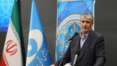 توفير 8 مليارات دولار لمحطة بوشهر للطاقة النووية خلال 10 سنوات من التشغيل