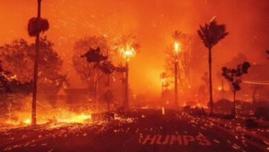 حريق في لوس أنجلوس؛ إعادة ظهور الأزمات الكامنة في أمريكا