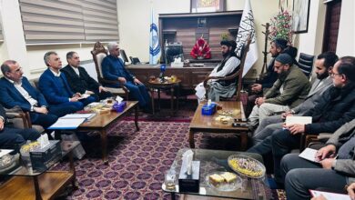 سيتم تعزيز التعاون الثنائي في مجال السكك الحديدية بين أفغانستان وإيران