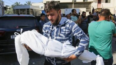 موت الإنسانية على يد ادعيائها/ الكفن في غزة أصبح أمنية!