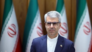 وزارة الخارجية لا تتخلى عن جهودها لدعم الإيرانيين