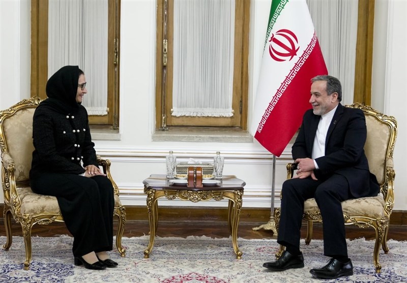 وشدد عراقجي على التعاون مع المنظمات التابعة للأمم المتحدة