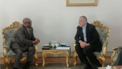 دعم إيران لتعزيز التعاون الاقتصادي في إطار “D8”