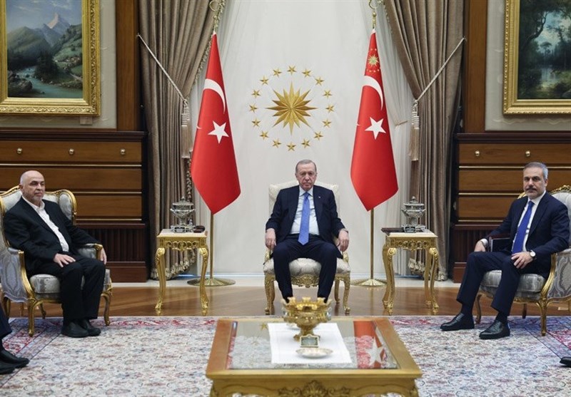 ما هي ميزة Türkiye في غزة؟