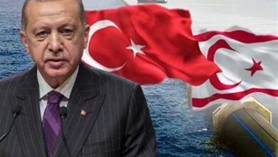 Türkiye غير المكتملة والنظام الدولي على قبرص