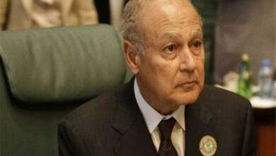 أبول غايت: تمت الموافقة على خطة عربية لإعادة بناء غزة