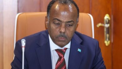 التعاون العسكري الصومالي والمصري