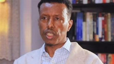 الصومالي: جماعة الإرهابية الشاباب ضعيفة