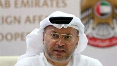 زيارة المستشار الدبلوماسي الرئيسي في الإمارات إلى طهران