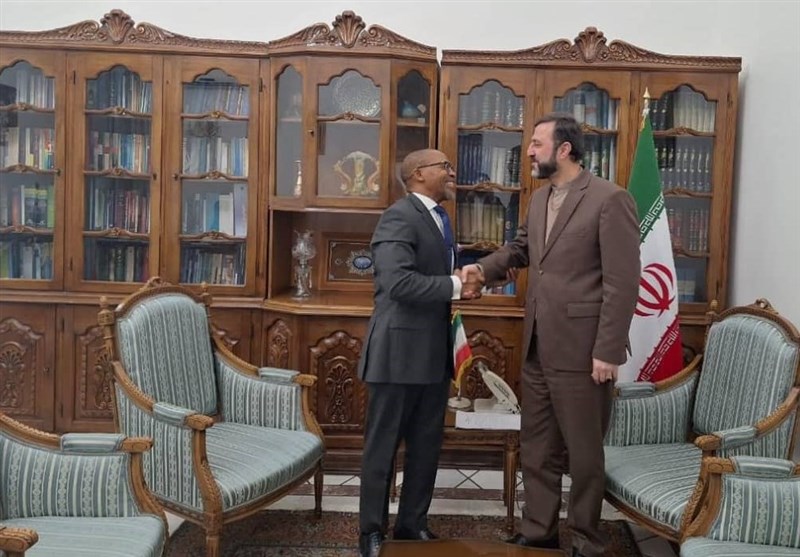 سفراء جنوب إفريقيا والنرويج والدنمارك إلى غاريبادي