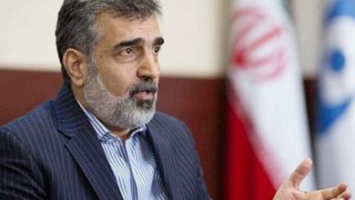 كامالفاندي: الزلزال لم يكن له أي تأثير على مرافق ناتانز