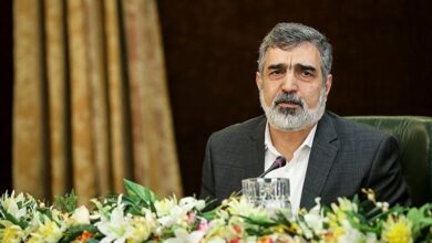 كمالفاندي: إيران لا تستسلم للضغط الغربي