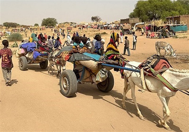 أكثر من 60،000 النزوح السوداني في شمال دارفور