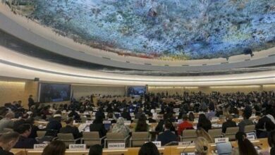 حلول لمواجهة إصدار القرارات المعادية للإيرانية في العالم