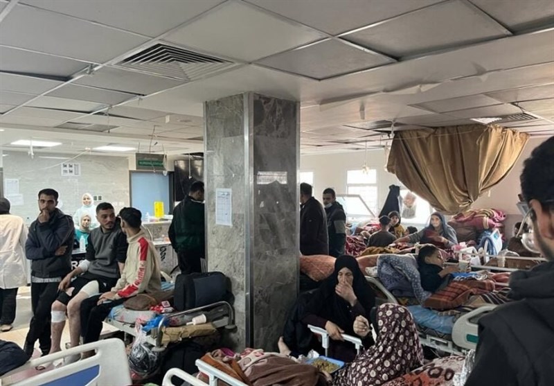 زيادة عدد الشهداء من قطاع غزة إلى 51000