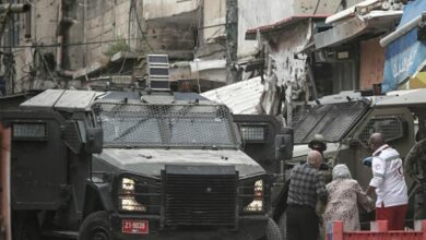 سقط الصهاينة في حياة الضفة الغربية مع الخنازير!