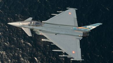 قامت ألمانيا بنقل النقوش