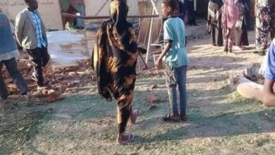 قتل وجرح 500 لاجئ سوداني في معسكر زامزام