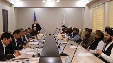 مساعدة أوزبكستان في تحسين الممارسات الزراعية في أفغانستان