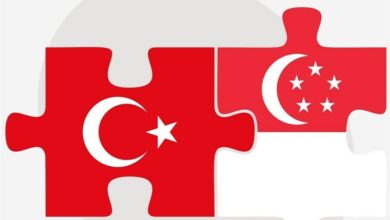 مقارنة الوضع السياسي في توركي وسنغافورة مع سرد المحامي التركي