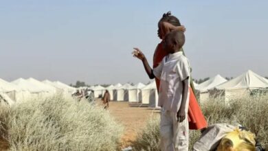 السودان: الأطفال هم الضحايا الرئيسيون للحرب والنزوح الجماعي من الفاشر /السودان , الفاشر , الأطفال , الحرب , النزوح