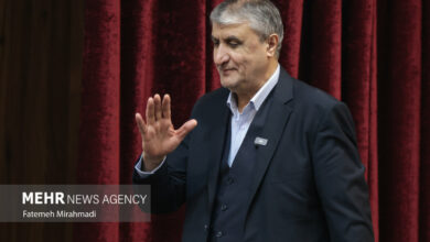 رئيس منظمة الطاقة الذرية يشارك في مراسم الاحتفال بيوم الطالب /إيران , يوم الطالب , منظمة الطاقة الذرية , احتفال , رئيس المنظمة