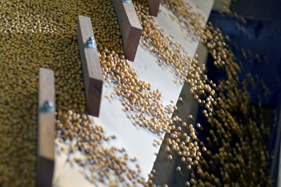 ترامب يسعى لبيع 20 مليون طن من فول الصويا الأمريكي إلى الصين /فول الصويا , التجارة الأمريكية الصينية , دونالد ترامب , الاقتصاد العالمي , العلاقات التجارية