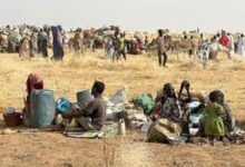 المالكي يبحث مع القائم بالأعمال الأمريكي في بغداد التطورات السياسية والأمنية / السودان , الجيش السوداني , قوات الدعم السريع , شمال كردفان , الأبيض