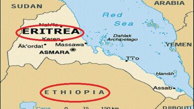 جيش إثيوبيا: جبهة تحرير تيغراي غير قادرة على مواجهتنا دون دعم خارجي / إثيوبيا , إريتريا , مصر , علاقات دبلوماسية , توترات إقليمية